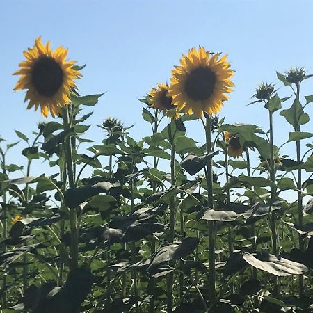 B&B Temenos 帕爾馬 外观 照片