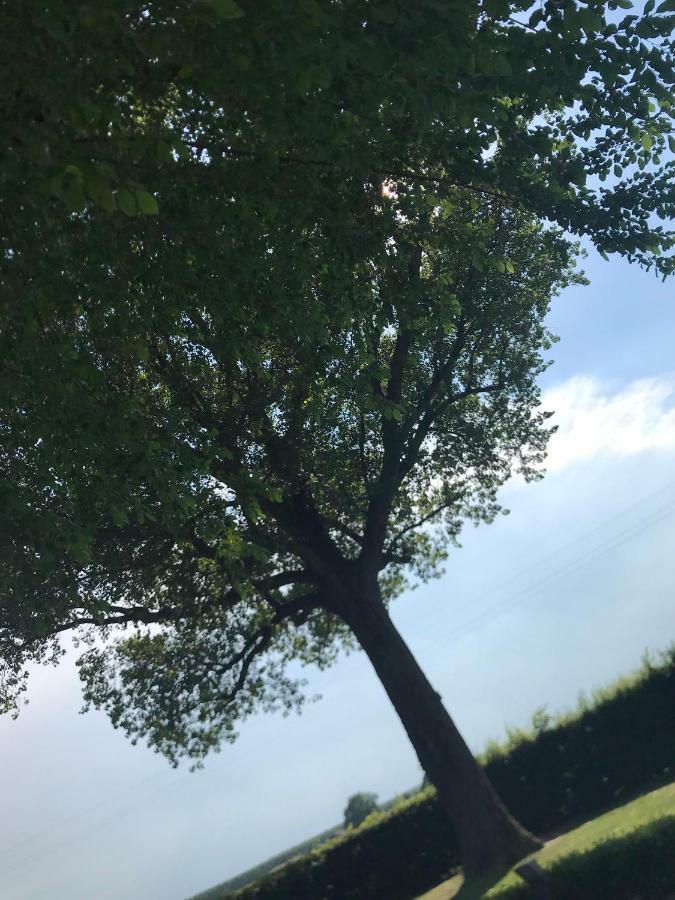 B&B Temenos 帕爾馬 外观 照片