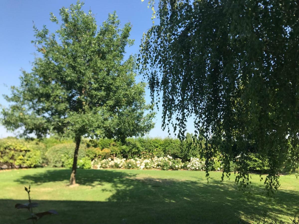 B&B Temenos 帕爾馬 外观 照片